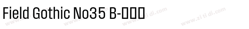 Field Gothic No35 B字体转换